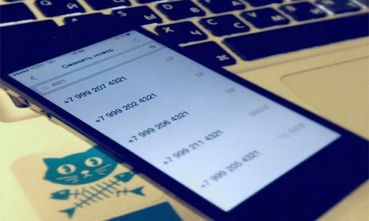 Обзор сервисов для аренды зарубежного номера телефона