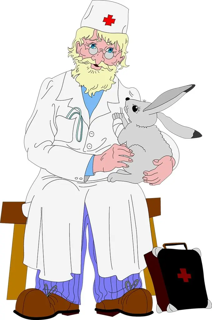 В парке птиц Малинки дети сломали кролику все лапы