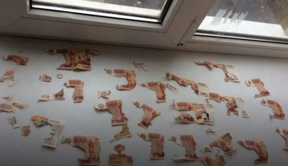 В Ростове сотрудники из отдела по борьбе с экономическими преступлениями наелись денег