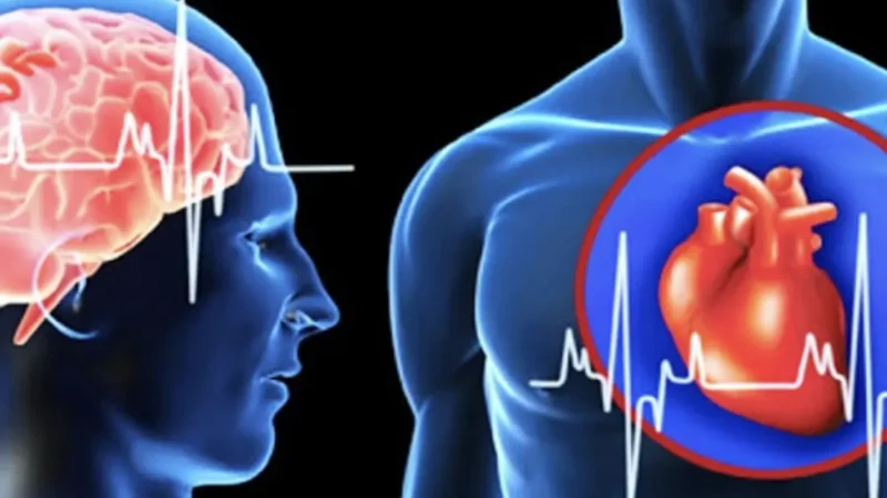 В Шахтах открылся сосудистый центр