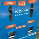 Превью статьи