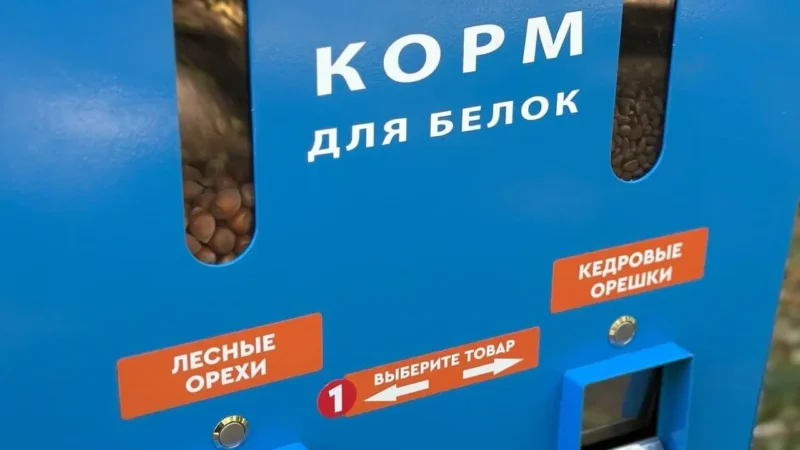 В Новочеркасске устанавливают аппараты для кормления белок