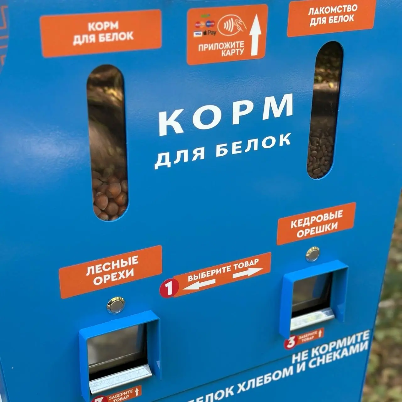 В Новочеркасске устанавливают аппараты для кормления белок
