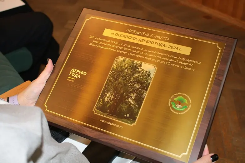 Дерево года России растет на Дону