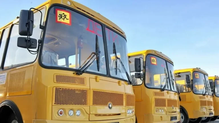 Более 50 автобусов пополнят школьные автопарки Ростовской области