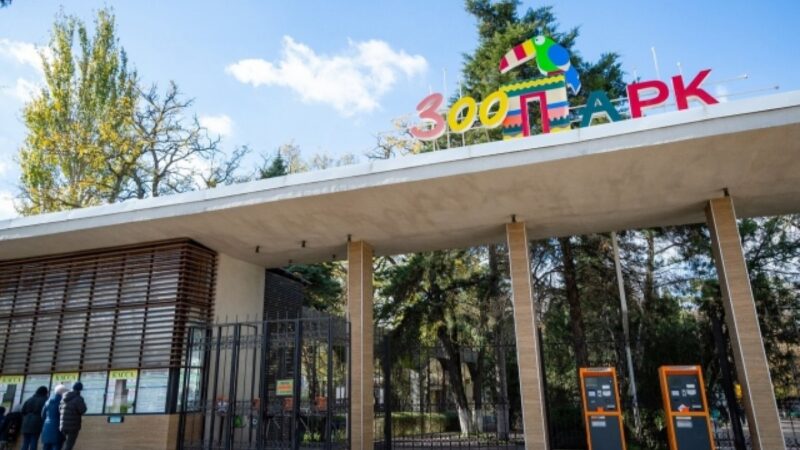 Ростовский зоопарк участвует в спасении птиц, пострадавших от экологической катастрофы в Краснодарском крае
