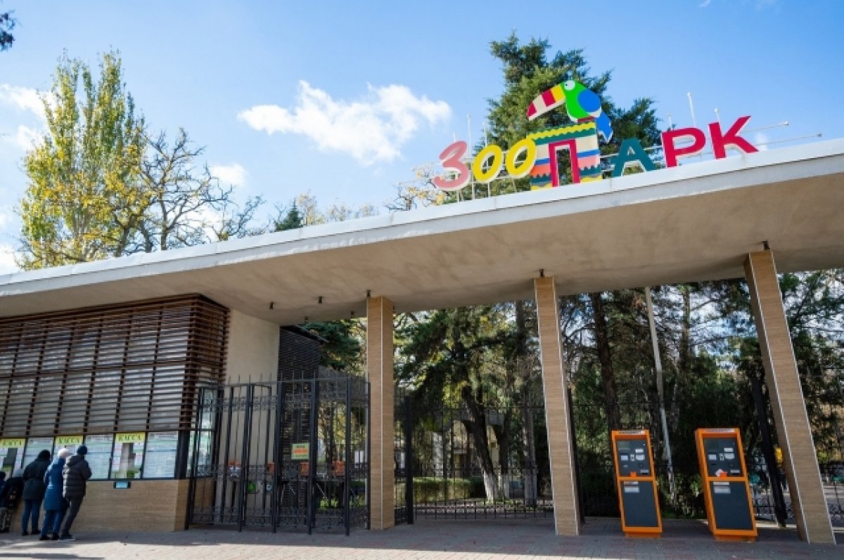 Ростовский зоопарк участвует в спасении птиц, пострадавших от экологической катастрофы в Краснодарском крае