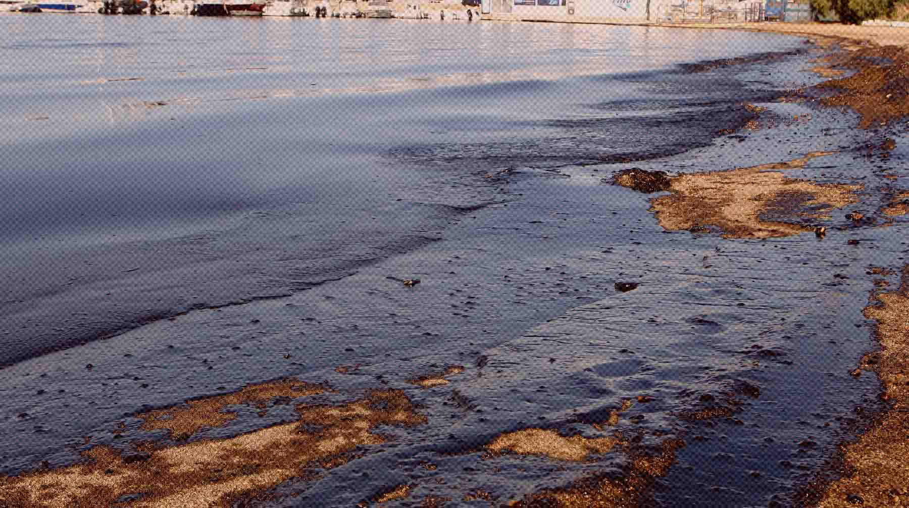 Экологическая катастрофа в Анапе и купальный сезон 2025: прогноз