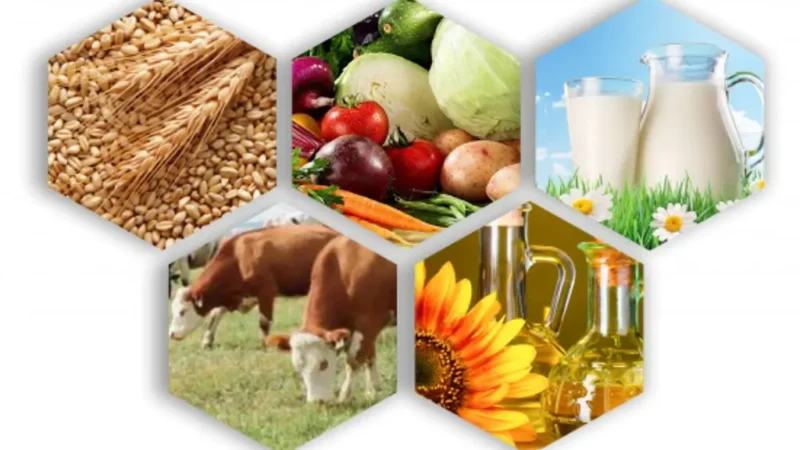 В Ростовской области хотят сократить путь сельхозпродукции от фермера до прилавка магазина