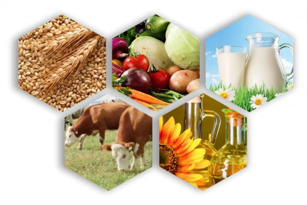 В Ростовской области хотят сократить путь сельхозпродукции от фермера до прилавка магазина