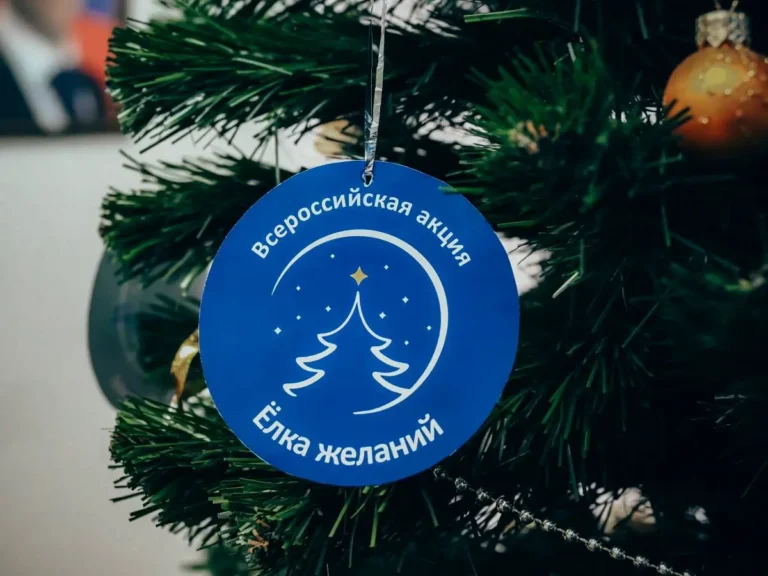 Более 60 писем поступило на ростовскую «Ёлку желаний»