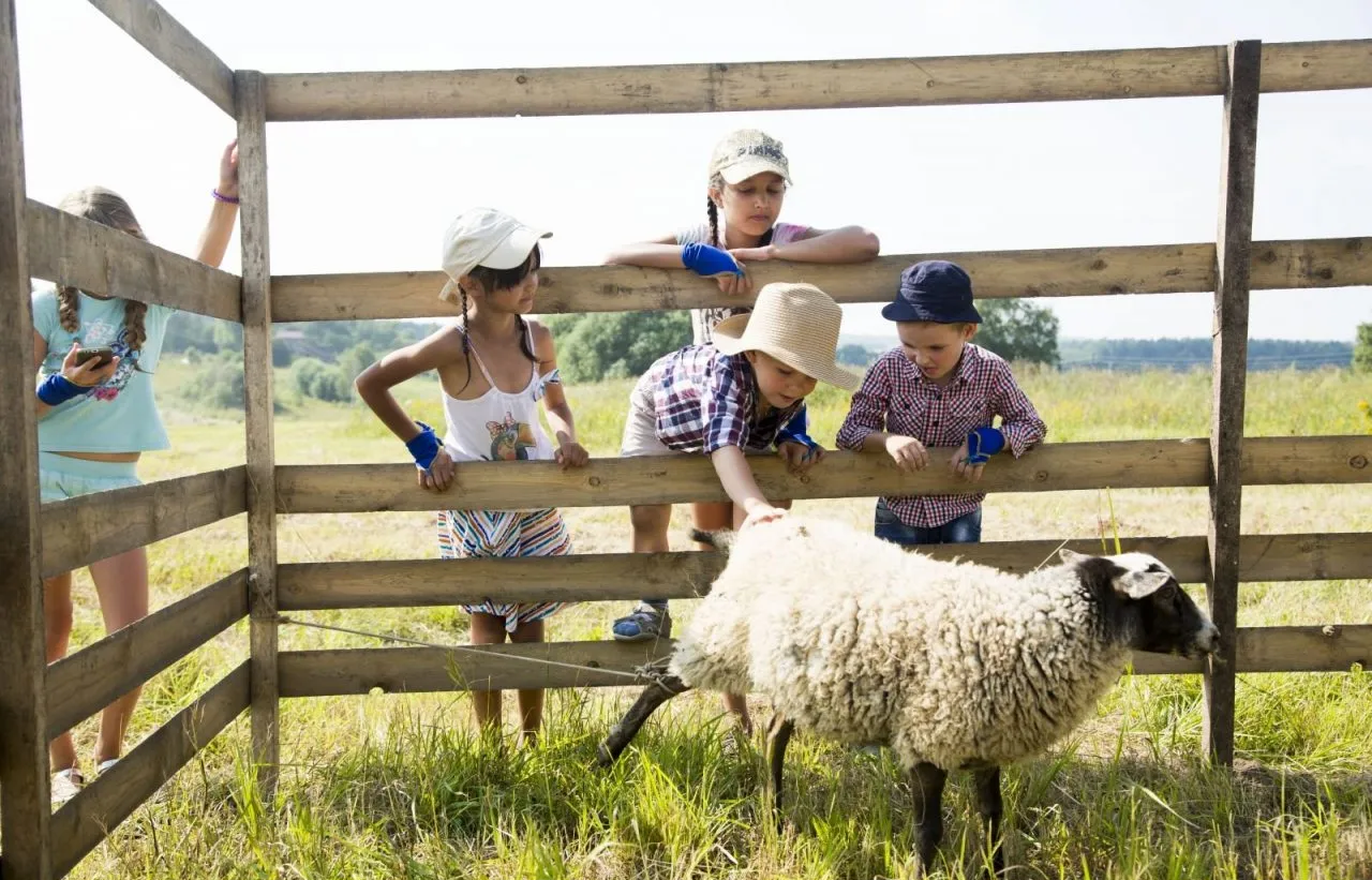 Экоферма в Усть-Донецком районе: перспективы развития сельского туризма (2024-2025)