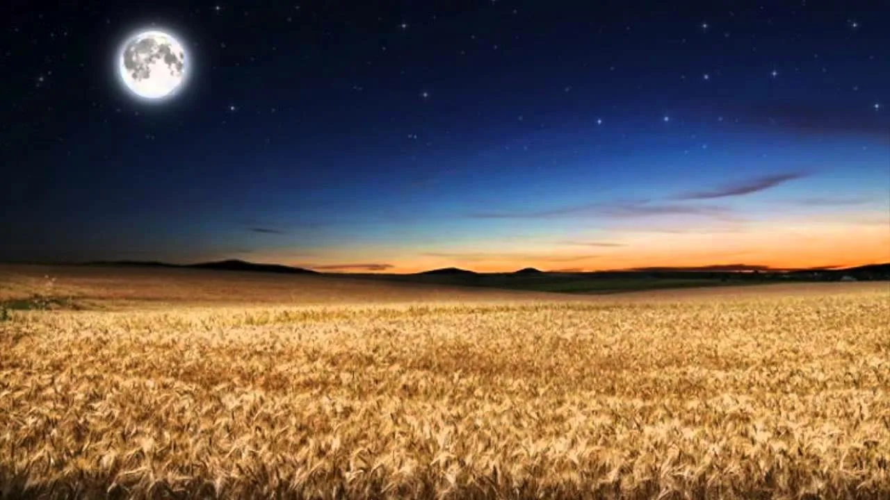 Садоводческий компас на 2025 год: посевной лунный календарь для богатого урожая