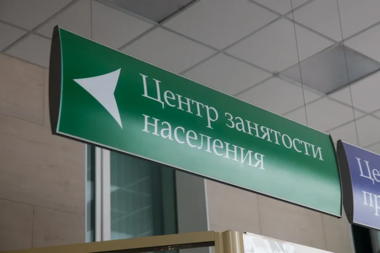 В поиске работы: как встать на биржу труда в 2025 году и получить поддержку