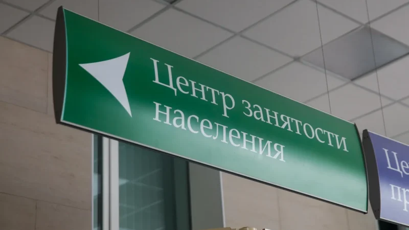 В поиске работы: как встать на биржу труда в 2025 году и получить поддержку