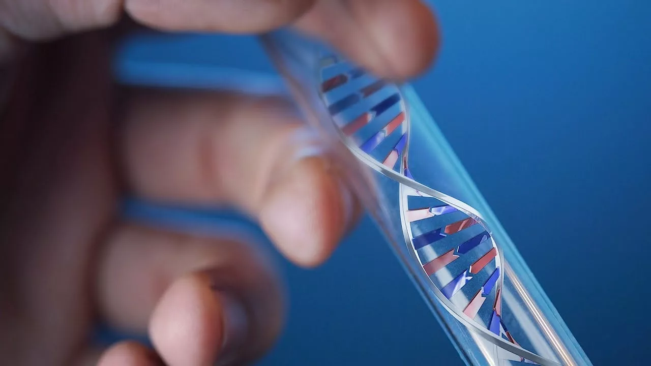 Как сдать ДНК-тест на родство в Ростове-на-Дону: пошаговая инструкция