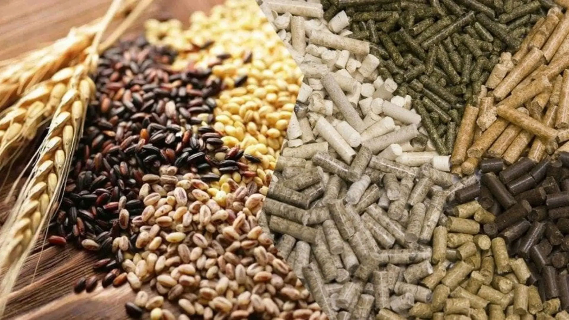 Производство комбикорма в 2025 году