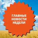 Превью статьи