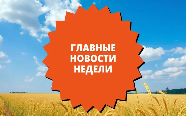Что произошло в Ростовской области за последнюю неделю — обзор главных событий