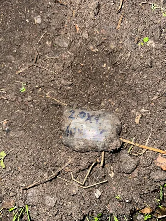 Узнайте что произошло в Ростовской области за первую неделю зимы