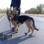 Превью статьи