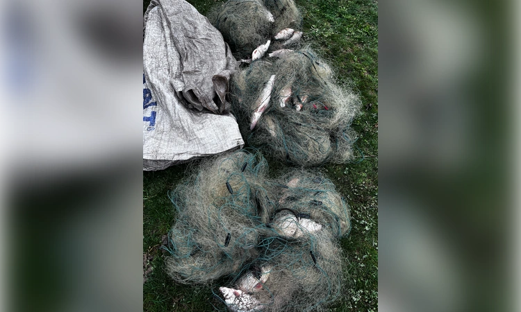 «Безопасные счета», акваланги и поддельные рецепты: как ростовские полицейские ловят мошенников, браконьеров и коррупционеров