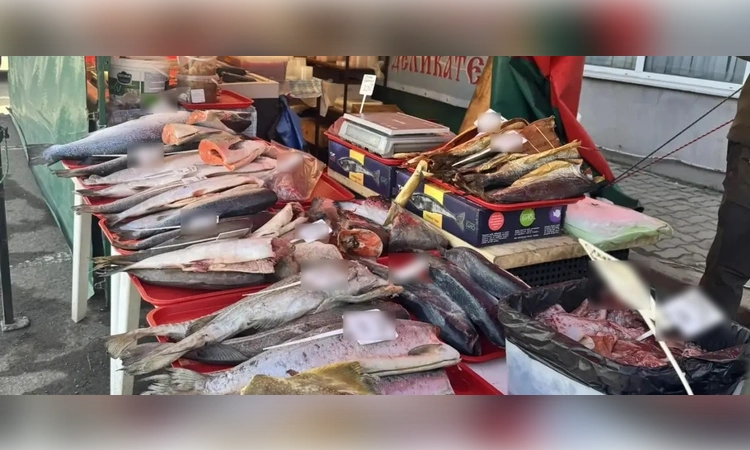 «Выиграл машину? Переведи 630 тысяч!»: как полиция ловит воров, убийц и браконьеров