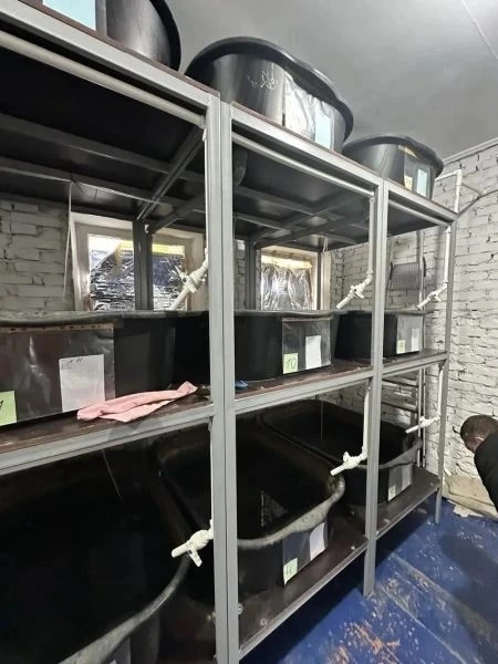 Полиция Ростовской области: пресечение схем с трафиком, задержания наркокурьеров и мошенников
