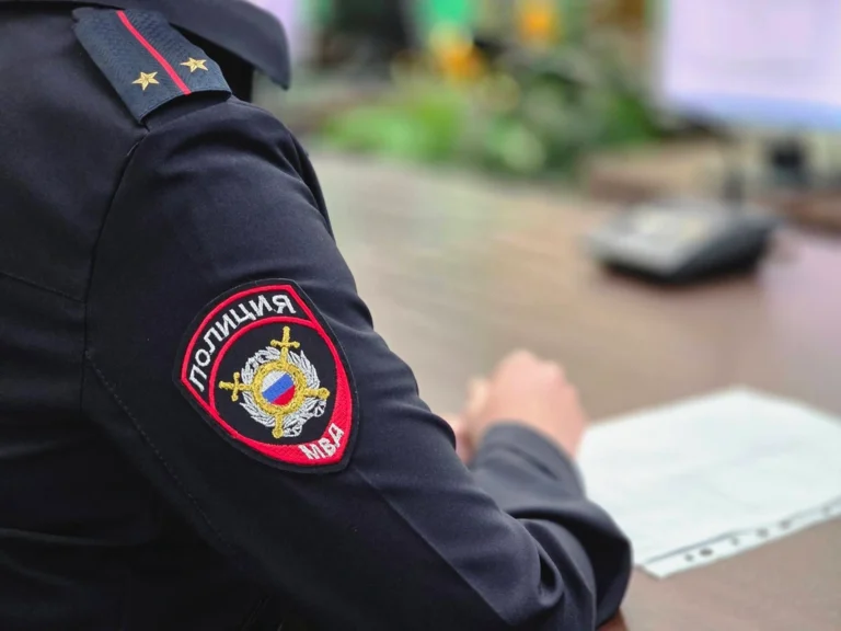 Пресечение нелегальной миграции, раскрытие мошеннических схем и задержания наркокурьеров — свежая сводка новостей от ГУ МВД РО
