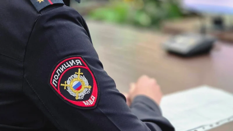 Пресечение нелегальной миграции, раскрытие мошеннических схем и задержания наркокурьеров — свежая сводка новостей от ГУ МВД РО